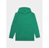 Hoodie 4F 4FWSS24TSWSF0955