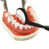 Dental Odontoscope Front Surface Mouth Mirror with Handle Oral Care Examination Hygiene Glass Rhodium Mirror