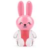 Princess by RENEE Bunny Lip Tint - Pink, for Pre-Teens, Lightweight & Long-Lasting Color, Non-Drying & Nourishing, Water-Based Formula, Blueberry E