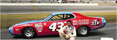 Salvinos J.R. Model 1/25 Scale NASCAR 1973 Dodge Charger Richard Petty Plastic Model (SJMRPDC1973D)