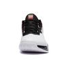 Li Ning Badminton Shoes Unisex Low top Standard White/Black AYAS018-2