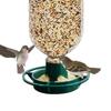 Outdoor Garden Bird Feeder: Plastic Hanging Bottle Top for Cola Bottles