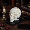 Decorazione Cranio Alieno Ornamento di Halloween, Forma in Resina Sintetica Scultura Figura Dettaglio Osseo Realistico, Ornamento da Tavolo per Feste