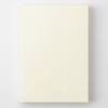 DESIGNPHIL (MIDORI) MD Notebook 1 Day 1 Page Unlined B 15389006