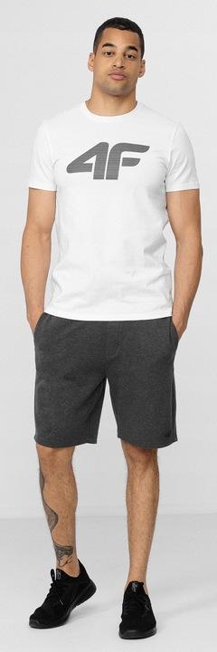 Maglietta Sportiva da Uomo 4F Ss23 Tshm537 10S Xxl