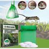 Peppermint Oil Rodent Repellent For Garden Rats And Rat Pest Control (box Of 2, 40 Pieces)