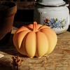 Multifuntional Pumpkin Shape Silicone Mold Silicone Crafting Moulds Suitable for Handmade Candle and Creative Workshops
