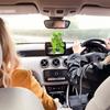 Accesorii pentru interiorul mașinii – Jucării auto şi decorațiuni