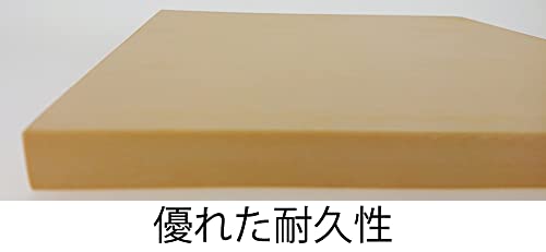 Fujiki Cutting Board, Made In Japan, Synthetic Rubber, Soft On the Blade, Easy To Use, Durable, 21 X 21 X 1.3 Cm, Square