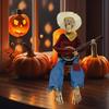 Halloween Banjo Playing Skeletons Decorations Outdoor/Indoor Halloween Party Decors Animated Skull with Light Up eye
