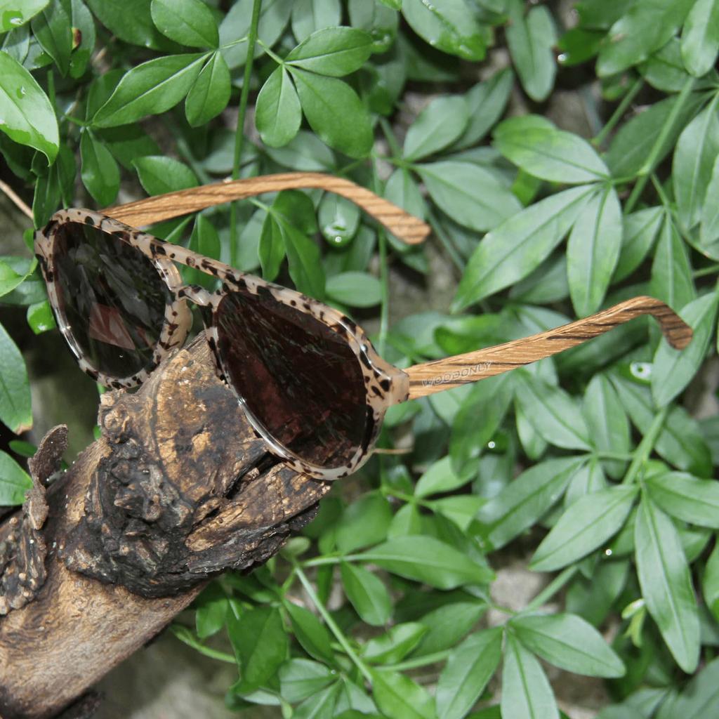 Holz Sonnenbrille Polarisiert UV400 Schutz Handgefertigt Tolles Geschenk für Männer Frauen [WOODONLY] - Sonnenbrillen, & (Zebrano + Schildpatt)