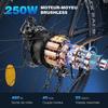 FAFREES 26 Hailong One - 26" Electric Bike - 450W Motor 36V/13.5Ah Battery - Shimano 21-speed - Range 100km - Black