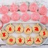 Holiday Cookie Molds 10X Christmas Biscuit Cutter Embossing Molds Christmas Cookie Cutter Kit For Biscuit Fondant Cake