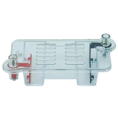 Portable Gel Electrophoresis Tank With Sample Preparation Tool Biology Lab Equipment for Science Classroom Education