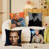 Singer Christopher Pillow Case Square Pillow Bedroom Sofa Leisure Comfort Cushion Car Home Decoration