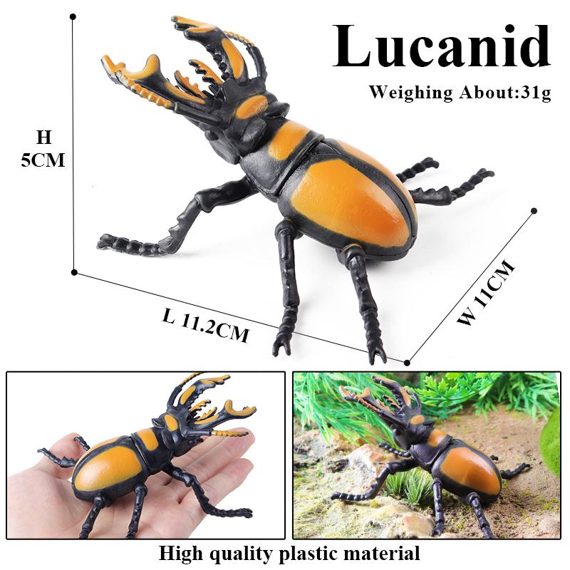 Oenux Insect Animals Model Figurine Butterfly Ant Dragonfly Spider Bee Mantis Scorpion Action Figures Educational Kid Toy Gift