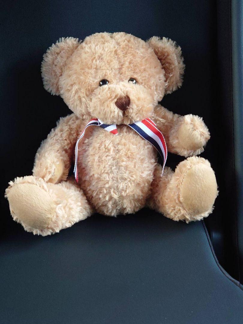 

[USED] Beautiful teddy bear