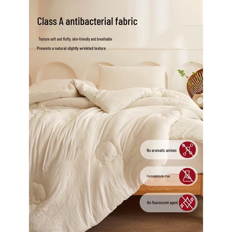 Muji-style Class A Xinjiang Cotton Four-Season Quilt
