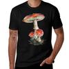 Fly Agaric Watercolour Tshirt Minimalist Plain Crew Neck Tshirt