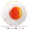 Digital Dog Dog Toy Cat Voice Banana Radish Chicken Leg Pet Cat Plush Toy Shrimp