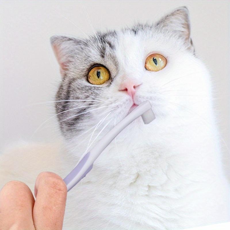 Pet Toothbrush Cat Brush Addition Bad Breath Tartar Teeth Care Dog Cat Cleaning Mouth Dog Cat Care Supplies