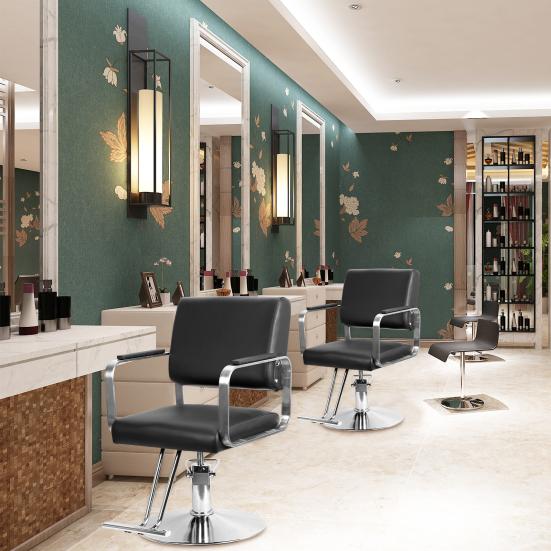 Hydraulic Barber Chair, Salon Chair for Hair Stylist, Heavy Duty Styling Chair with Height Adjustable, Shampoo Beauty Salon Chair Equipment