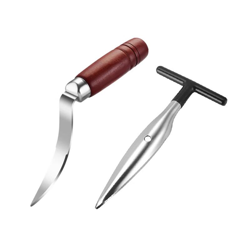 Stainless Steel Coconut Opener & Meat Remover Set