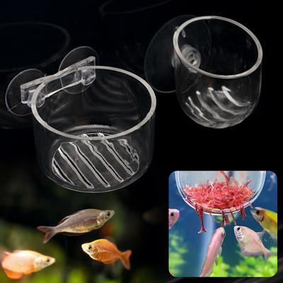 Vissen en zeedieren – Aquarium onderhoud