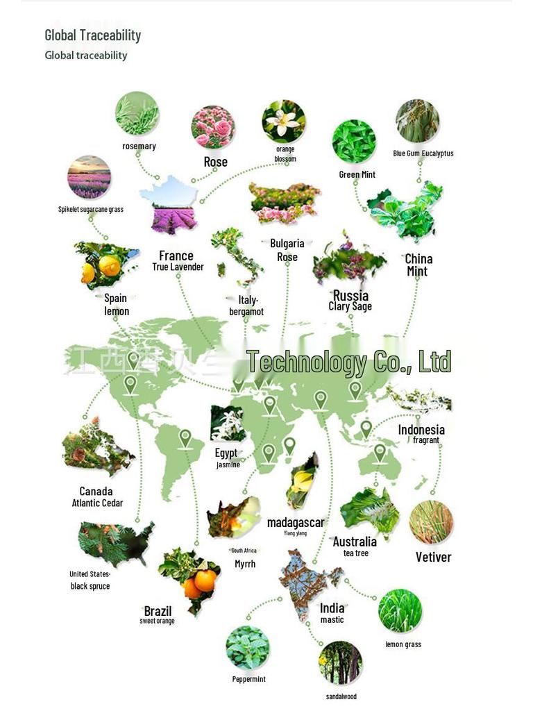 Lavender Essential Oil - Cold-Pressed for Car Aromatherapy & Skin Care, Pale Yellow