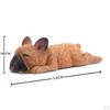 Corgi Multiple Postures resin material