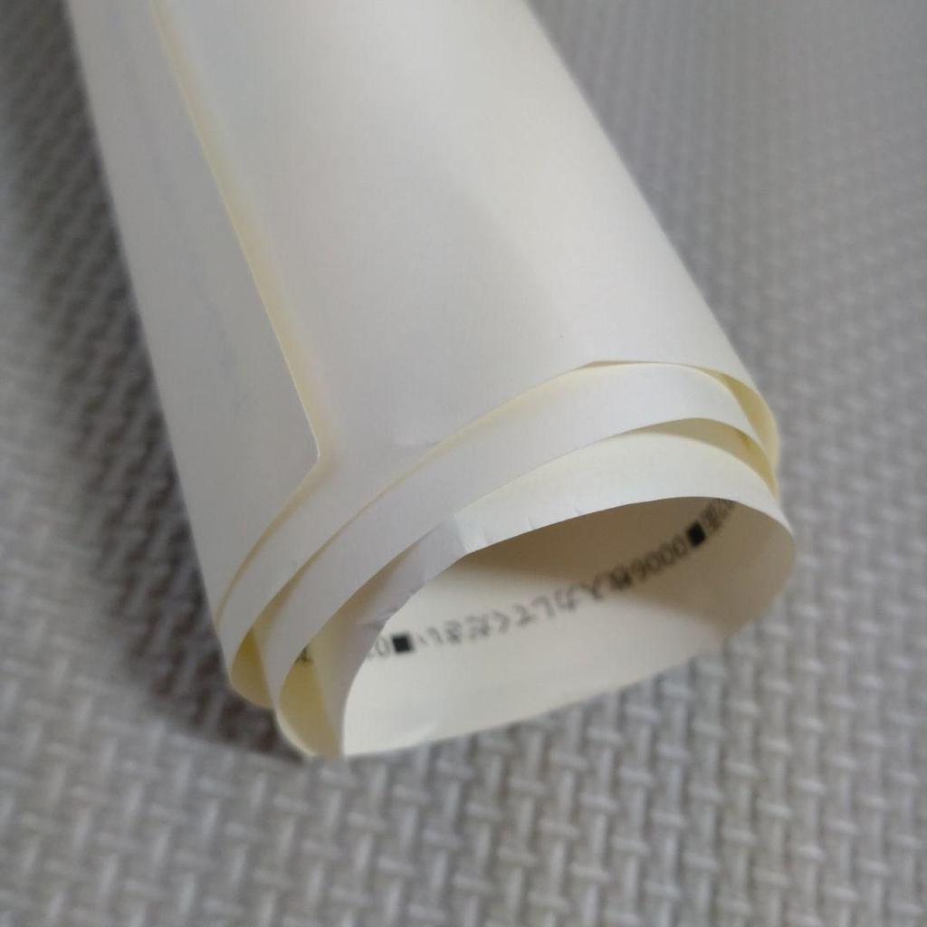 [USED] AKIRA Cel Art Exhibition Admission Bonus: Color Proof Poster