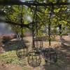Hanging Parrot Forager Feeder Durable Outdoor Bird Feeding Device Spiral Design Natural Fruit Basket for Small Pets