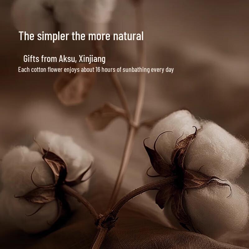 Lixingji Men's Pure Cotton 10A Antibacterial Boxer Briefs