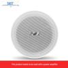 SAST YS4-8 8-Inch Coaxial Ceiling Speaker CN Plug (adapter Included)