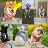 Truelove Escape Proof Pet Vest Reflectiv Light Pure Cotton Padding Dog Harness Training Protective Clothes For Puppy Bulldog