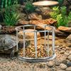 Fence Design Tortoise Food Dish Large Capacity Reptile Feeder Bowl For Amphibians