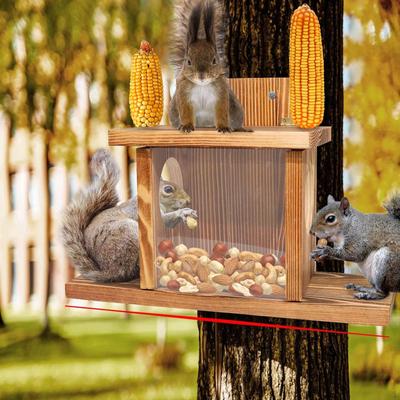 Drewniany karmnik dla wiewiórek Stacja karmienia wiewiórek z otwieraną pokrywą Wiewiórka na podwórko