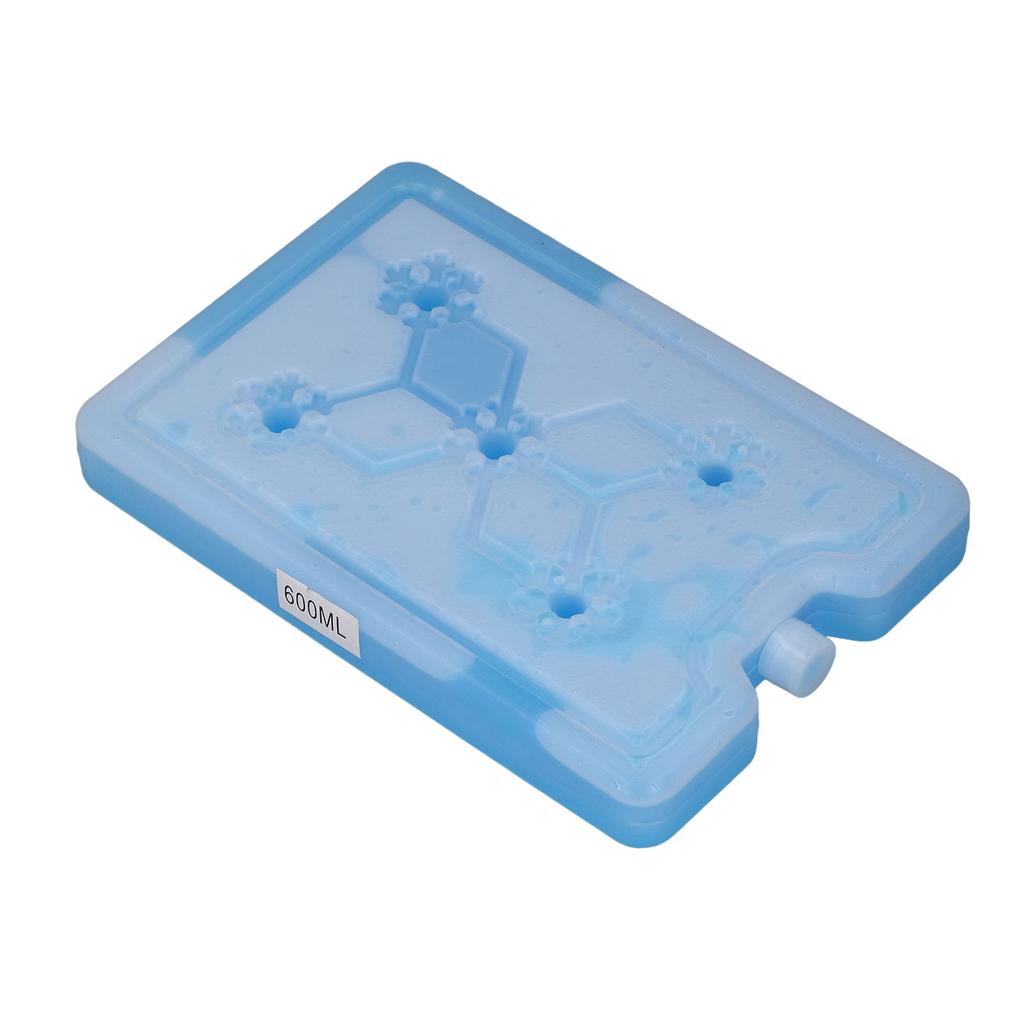 Outdoor Portable Freezer Picnic Camping Travel Fruit Cooler Box Reusable Ice Pack 600ML