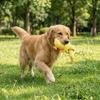 Bite-Resistant Long Necked Duck Voice Dog Toy Animal Shaped Dog Chew Toy  Teeth Cleaning
