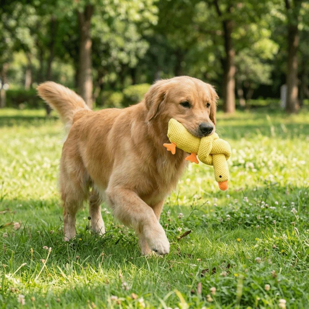 Bite-Resistant Long Necked Duck Voice Dog Toy Animal Shaped Dog Chew Toy Teeth Cleaning
