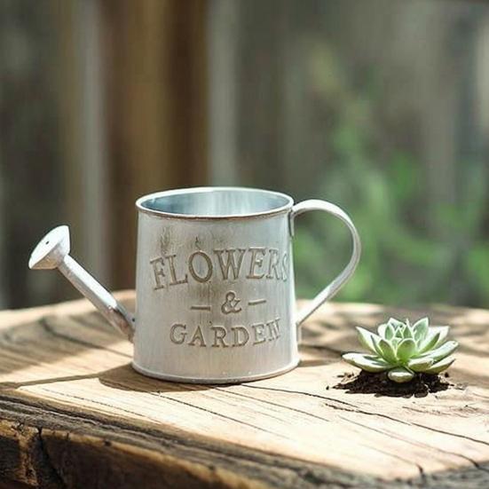 Vintage Metal Watering Can Distressed Watering Can with Long Spout Small Watering Pot for Indoor Outdoor Gardening