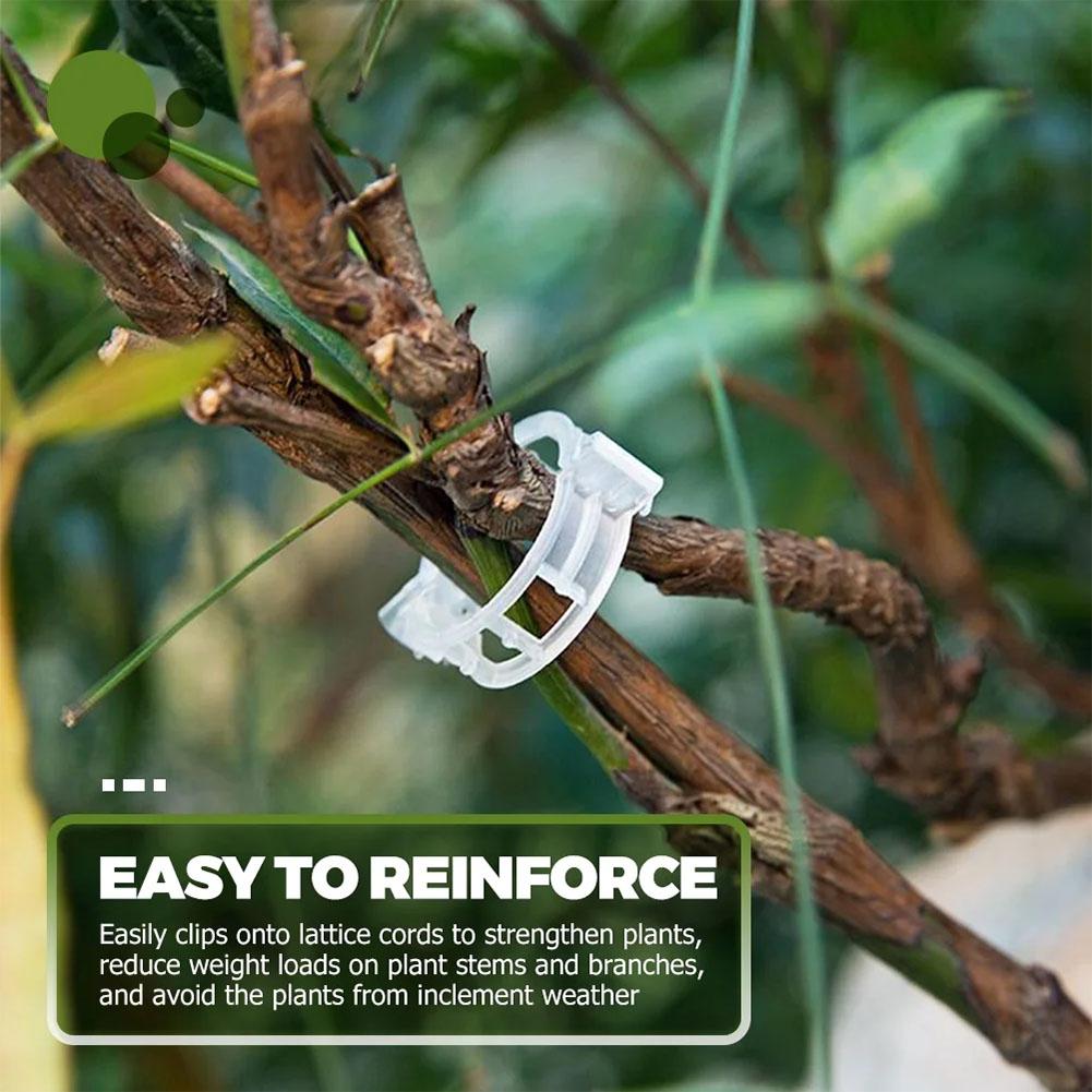 50PCS Heavy-Duty Plant Support Clips for Garden Vines | Adjustable Trellis Tomato Clips for Cucumbers Grapes & Melons