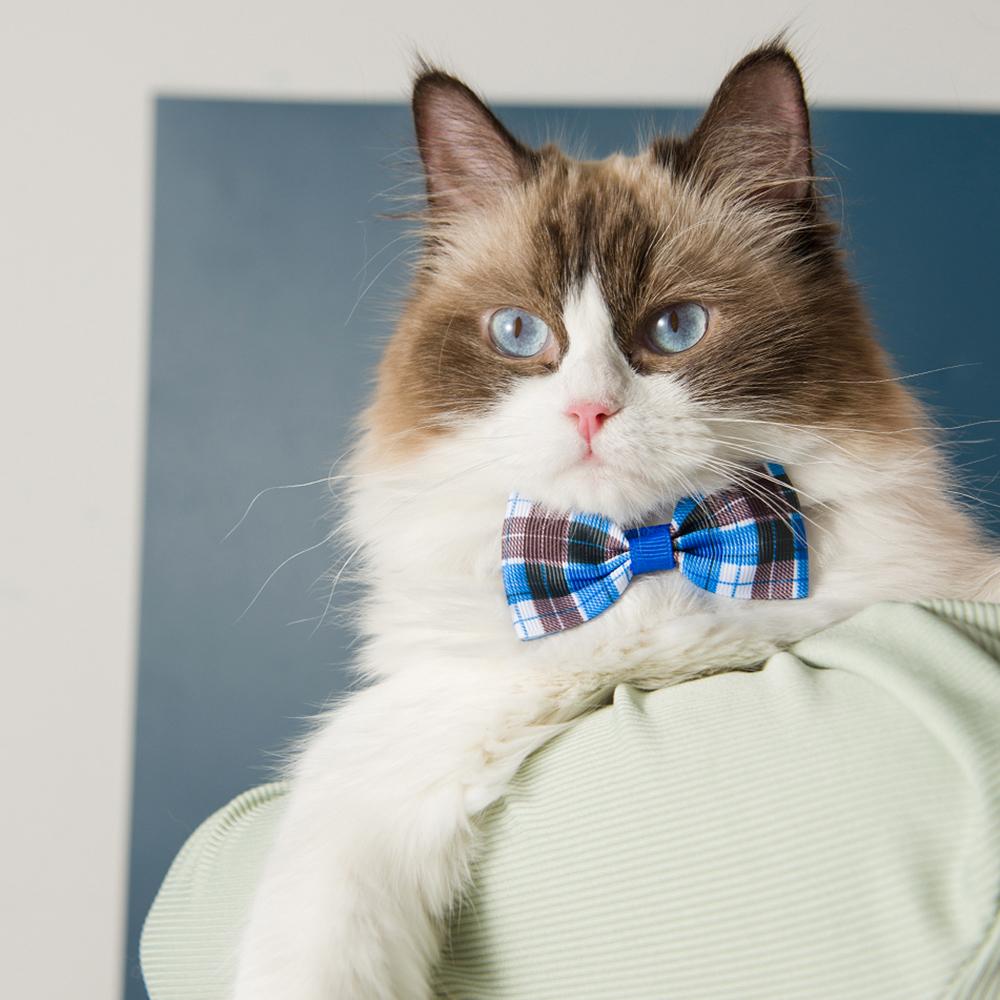 7PCS Pink Pet Bow Tie, Collar Accessories, Checkered And Striped Cat And Dog Ties Scarf Accessories