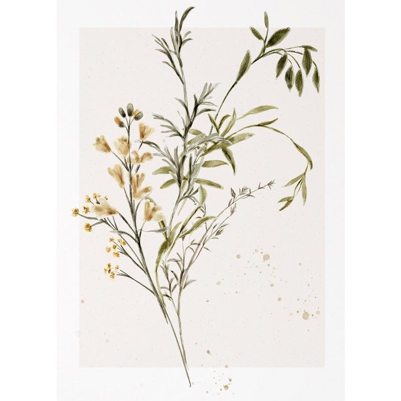 

Акварельные ботанические постеры и принты с полевыми цветами, печать на холсте, винтажная настенная картина для гостиной, домашний декор, подарки 21cm×30cm NoFrame