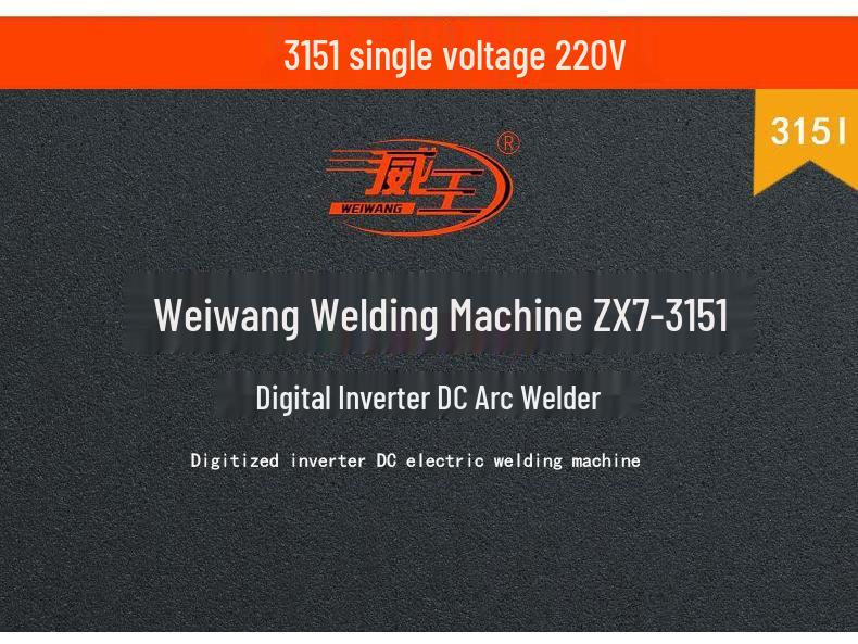 Wei Wang Dual-Use Electric Welder 220V, 200-400A, Fully Automatic, Dual Voltage, Household Model.