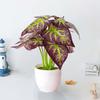 Yellow Potted Plant Brown Fake Plant Flowers Floral Décor