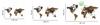 Wooden World Map 3D XXL Cities Dark Brown 181x100 cm Wall Puzzle