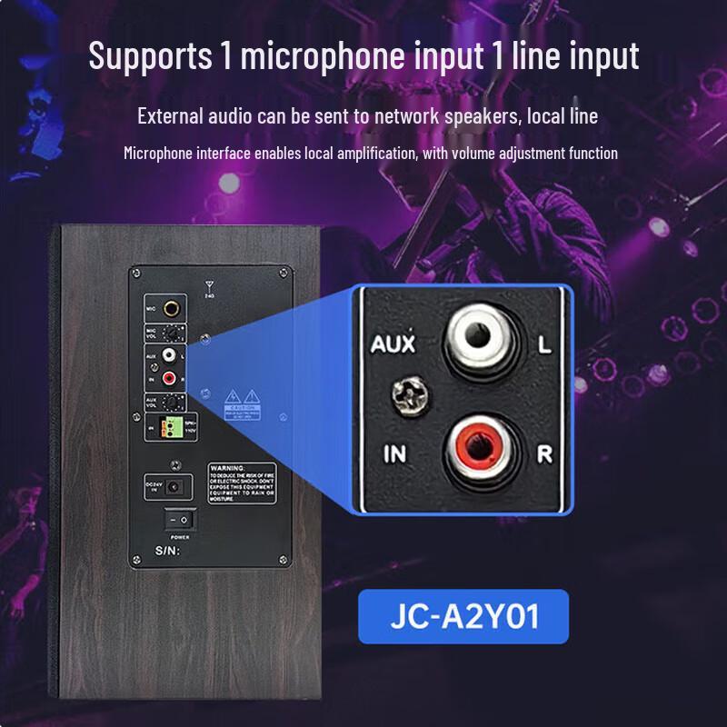 Weishu JC-A1 5-inch Passive Monitor Speaker CN Plug (adapter Included)