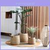 Woven Grass Planter Pot With Breathable Design For Living Room Decor Large Size