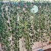 2.1M Artificial Plant Green Ivy Leaf Garland Silk Wall Hanging Vine Home Garden Decoration Wedding Party DIY Fake Wreath Leaves